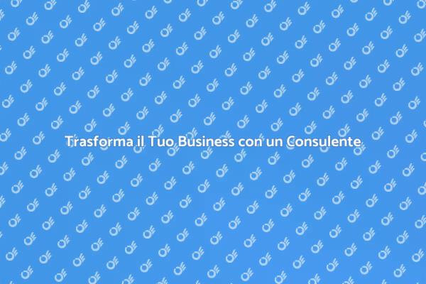 Ottimizza il Tuo Business con Esperti