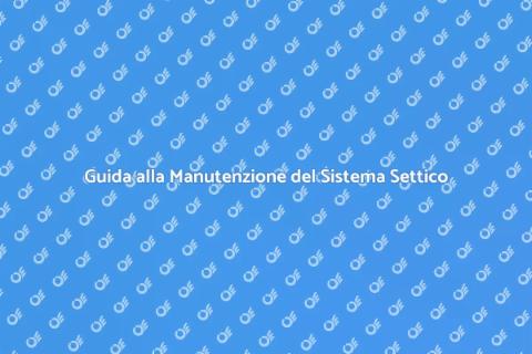 Riparazione e Manutenzione Sistema Settico