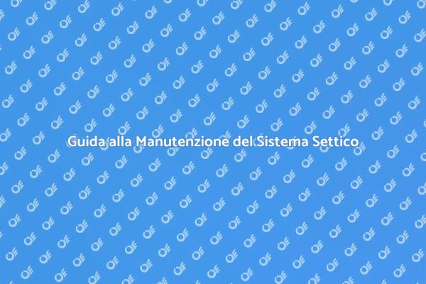Manutenzione Efficace del Sistema Settico