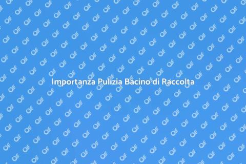 Pulizia Bacino di Raccolta Essenziale