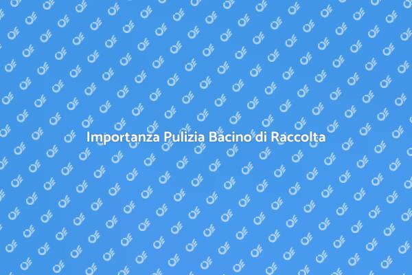 Pulizia Bacino: Un Servizio Indispensabile