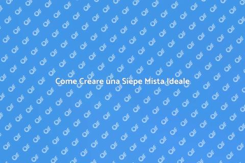 Siepe Mista: Crea il Tuo Giardino Verde