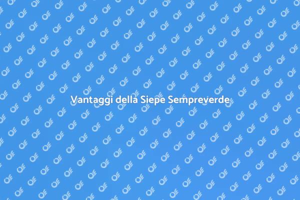 Come Piantare una Siepe Sempreverde