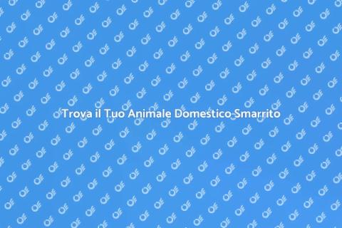 Servizio Ricerca Animali Domestici