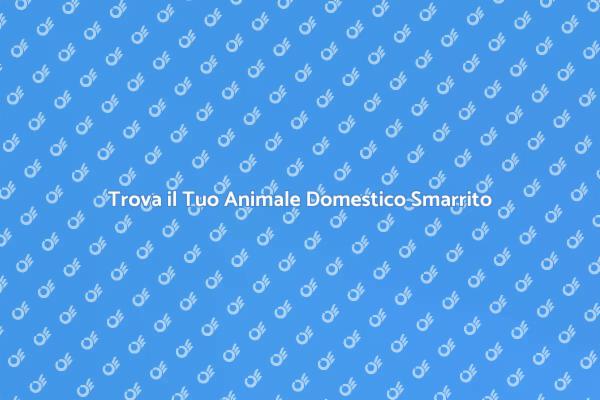 Ritrova il Tuo Amico Peloso