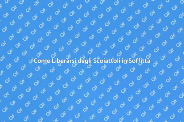 Rimozione Sicura degli Scoiattoli