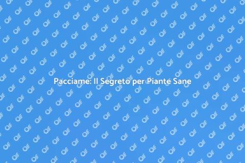 Applicare Pacciame: Giardino Perfetto