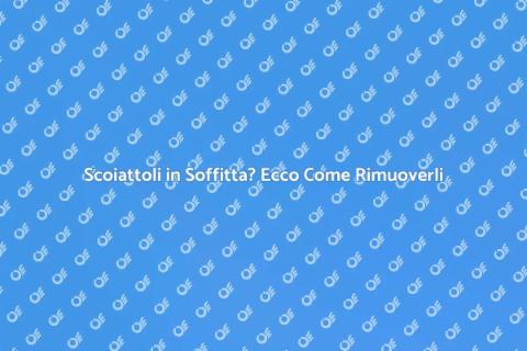 Rimuovere Scoiattoli dalla Soffitta