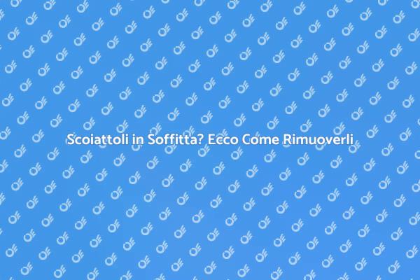 Come Eliminare Scoiattoli dalla Soffitta