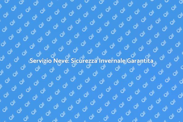 Sicurezza Invernale con Rimozione Neve