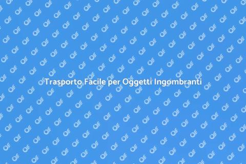 Trasportare Oggetti di Grandi Dimensioni