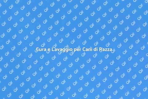 Lavaggio Professionale per Cani di Razza