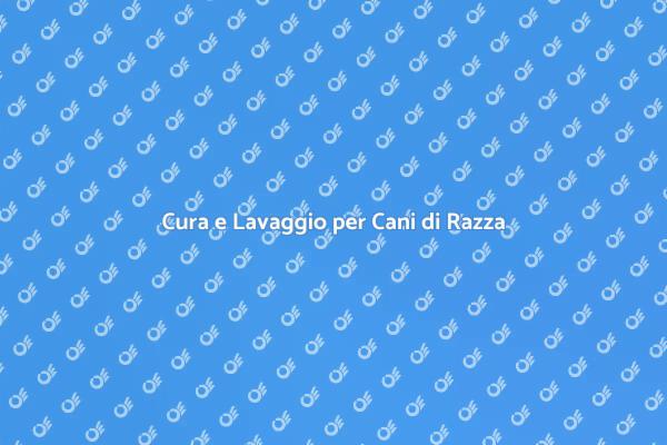 Lavaggio Essenziale per Cani di Razza