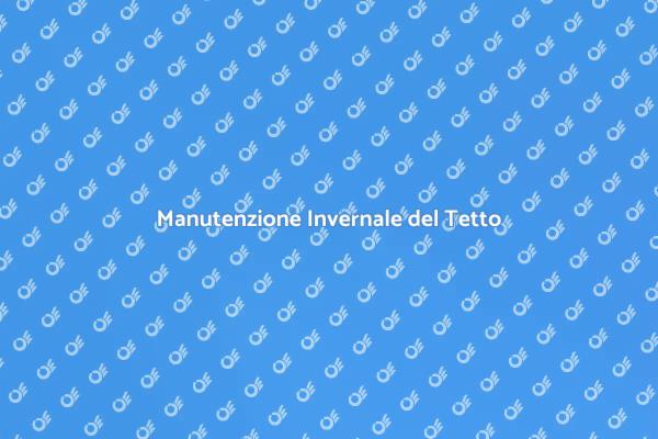 Mantieni il Tuo Tetto Sicuro in Inverno