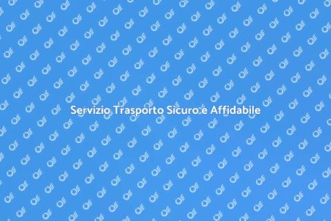Trasporto Sicuro con Esperti