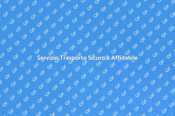 Trasporto Esperto per i Tuoi Beni