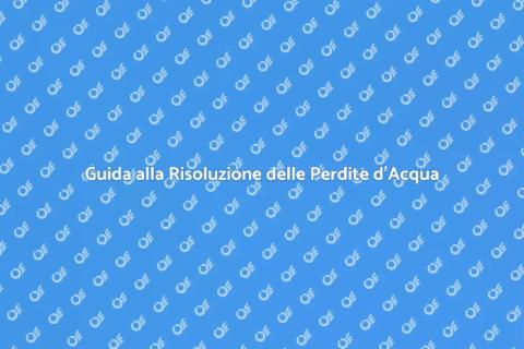 Perdite d'Acqua: Come Risolverle