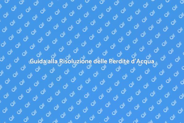 Come Affrontare le Perdite d'Acqua