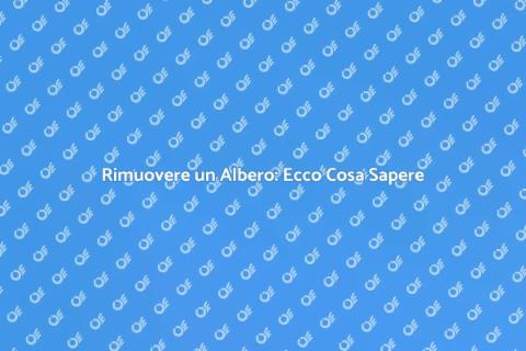 Rimozione Albero: Guida Pratica e Sicura