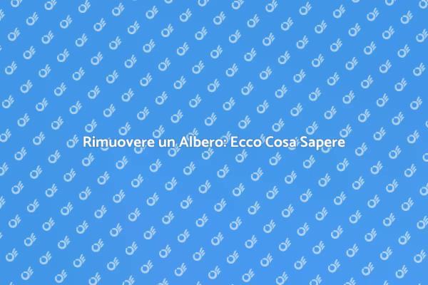 Rimozione Albero: Quando e Come Farlo