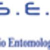 S.E.I. Srl 