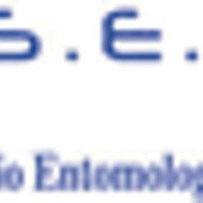 S.E.I. Srl