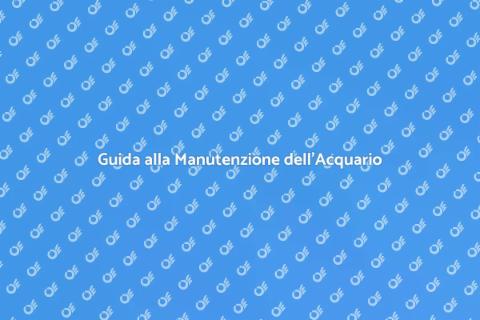 Manutenzione di un Grande Acquario