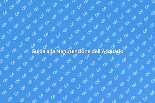 Manutenzione Facile per il Tuo Acquario