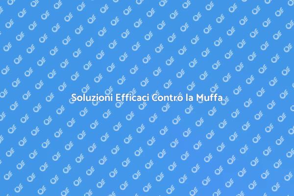 Muffa: Soluzioni per Pareti Sane