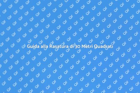 Rasatura Parete di 30 Metri Quadrati