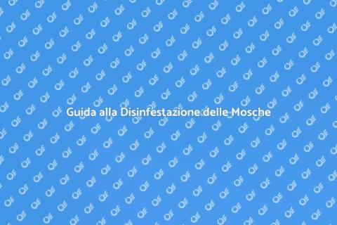 Disinfestazione dalle Mosche Efficace