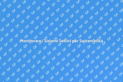 Monitoraggio Impatto Ambientale