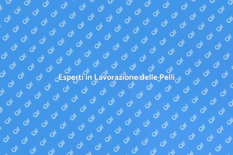 Consulenza Lavorazione Pelli Professionale