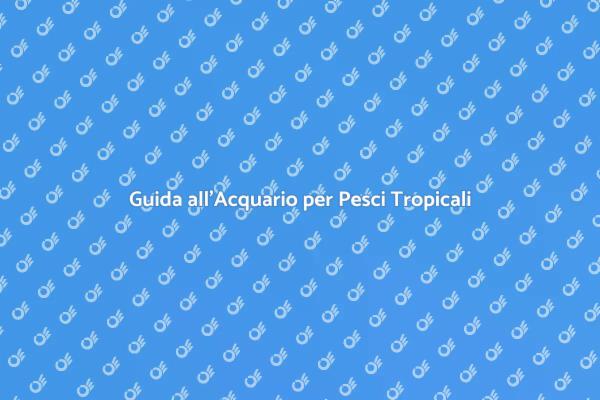 Crea il Tuo Acquario Tropicale