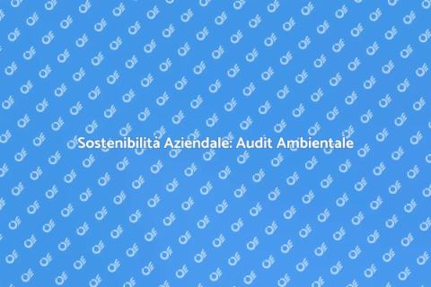 Audit Ambientale: Sostenibilità Aziendale