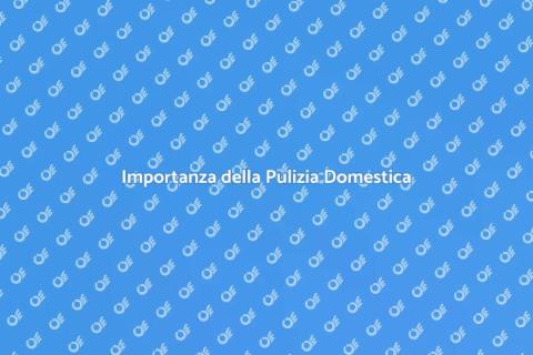 Pulizia Generale della Casa Essenziale