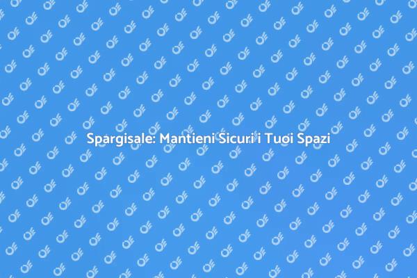 Spargisale: La Chiave per Inverno Sicuro
