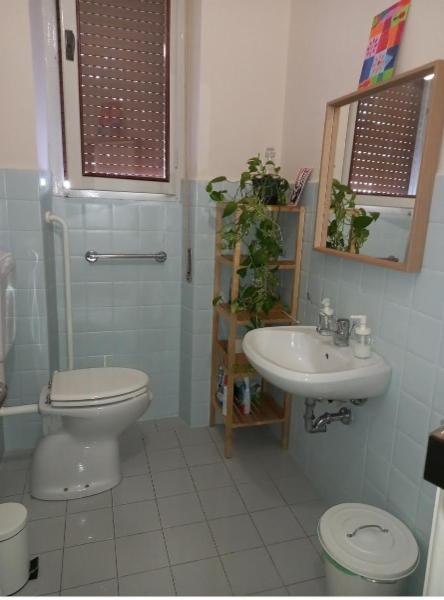 flo multiservizi s..a.s.pulizie civili e industriali, tinteggiature, manutenzione giardini. Vendita articoli per igiene dell’ambiente e della persona all’ingrosso e al dettaglio - Foto 12
