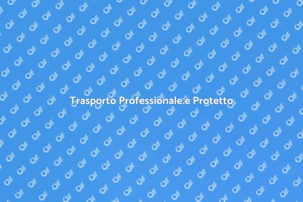 Proteggi i tuoi beni con un trasporto sicuro