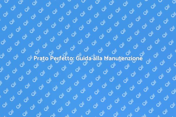 Trasforma il Tuo Prato in un'Oasi Verde