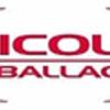 Nicole' Imballaggi Industriali 