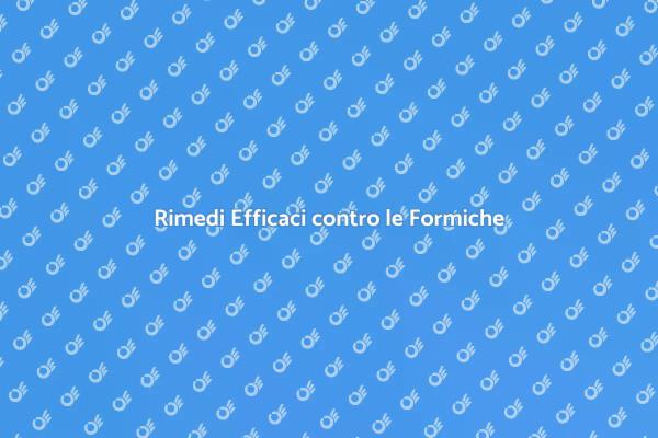 Come Liberarsi delle Formiche in Casa