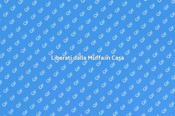 Muffa in Casa? Ecco Come Rimuoverla!
