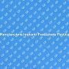 Sicurezza ed Efficienza nella Pulizia
