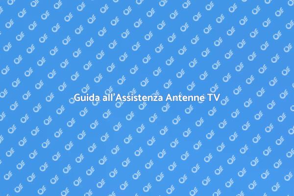 Supporto Professionale per Antenne TV