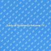 Supporto Professionale per Antenne TV