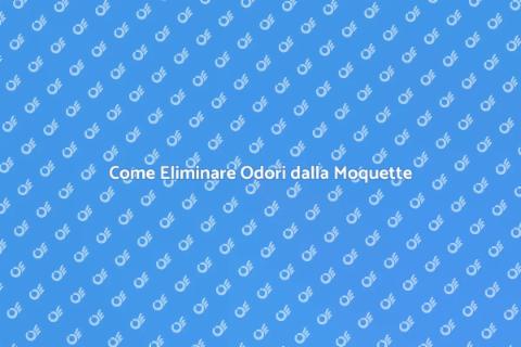 Rimozione Odori dalla Moquette