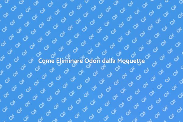 Liberati dagli Odori della Moquette