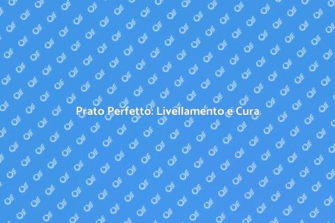 Livellamento Prato: Elimina Dislivelli