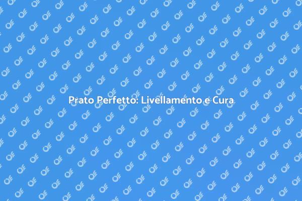 Trasforma il Tuo Prato: Livellamento Efficace